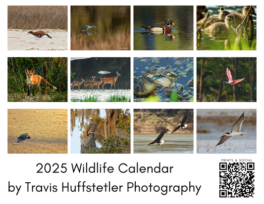 2025 Wildlife Calendar by Travis Huffstetler - Travis Huffstetler Photography