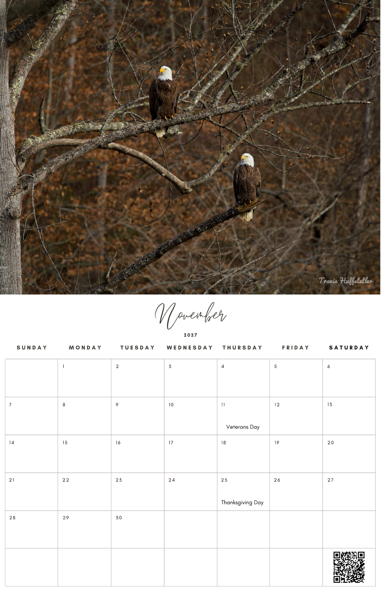 (PRE-SALE) 2027 Bald Eagles Wall Calendar by Travis Huffstetler
