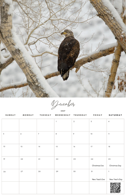 (PRE-SALE) 2027 Bald Eagles Wall Calendar by Travis Huffstetler