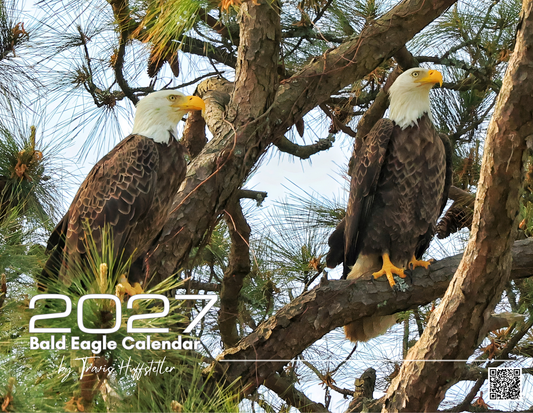 (PRE-SALE) 2027 Bald Eagles Wall Calendar by Travis Huffstetler