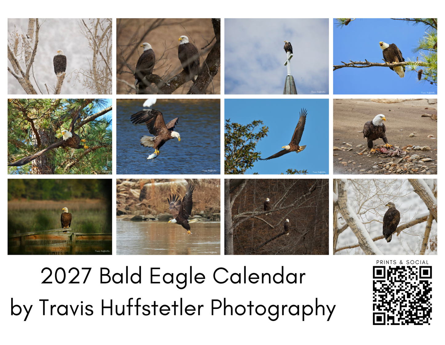 (PRE-SALE) 2027 Bald Eagles Wall Calendar by Travis Huffstetler