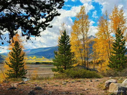 Colorado Gold | 8.5x11 Signed Limited Edition Fine Art Print | #008 American Road Collection