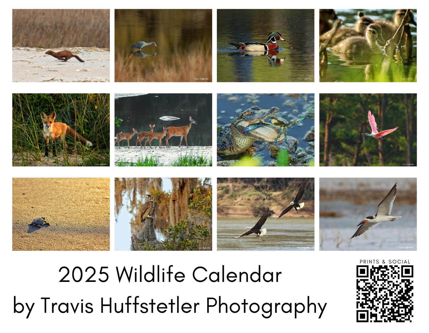 2025 Wildlife Calendar by Travis Huffstetler