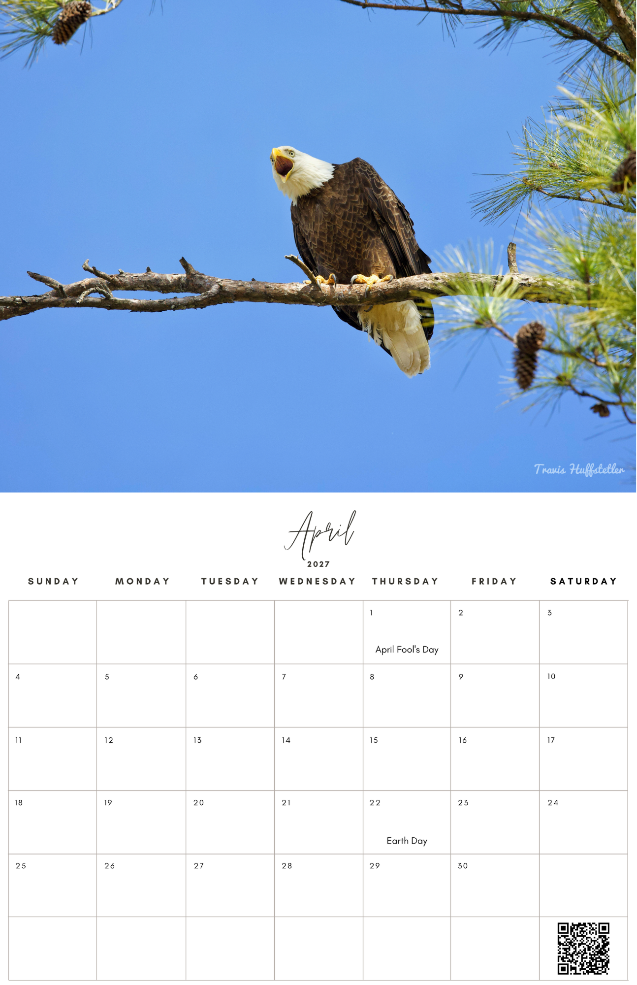 (PRE-SALE) 2027 Bald Eagles Wall Calendar by Travis Huffstetler