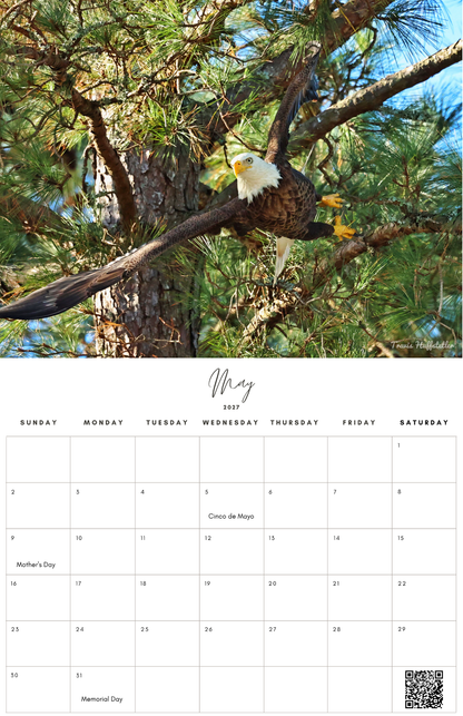 (PRE-SALE) 2027 Bald Eagles Wall Calendar by Travis Huffstetler