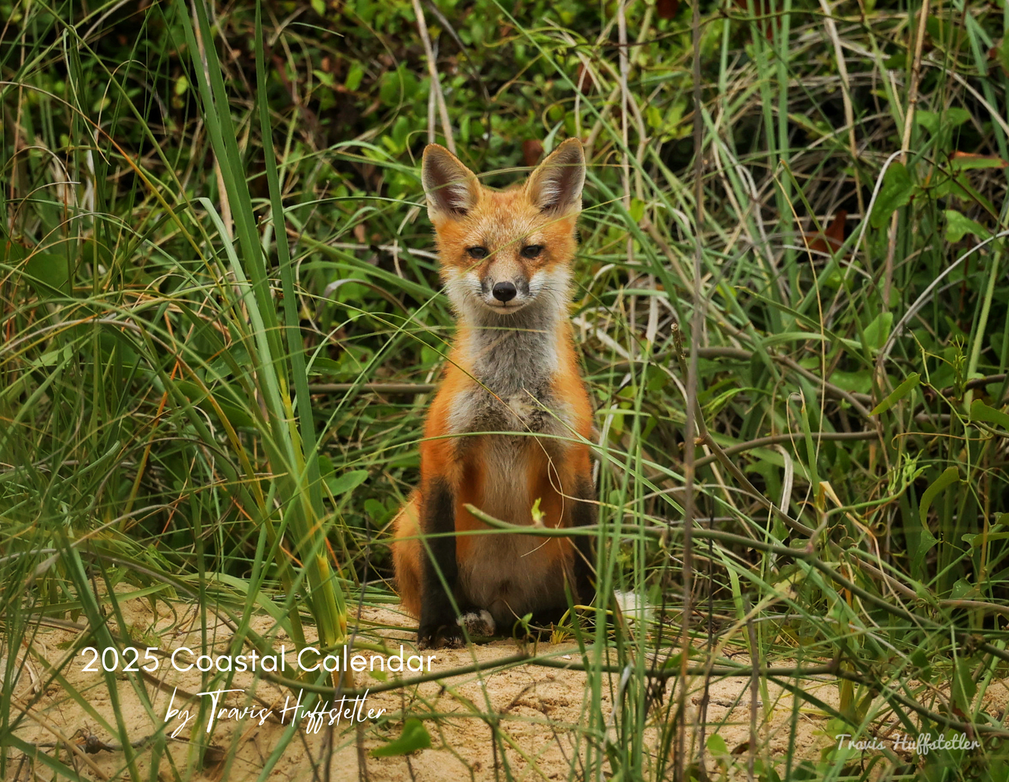 2025 Wildlife Calendar by Travis Huffstetler