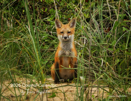 2025 Wildlife Calendar by Travis Huffstetler - Travis Huffstetler Photography
