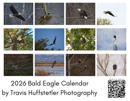 2026 Bald Eagle Wall Calendar by Travis Huffstetler *PREORDER*