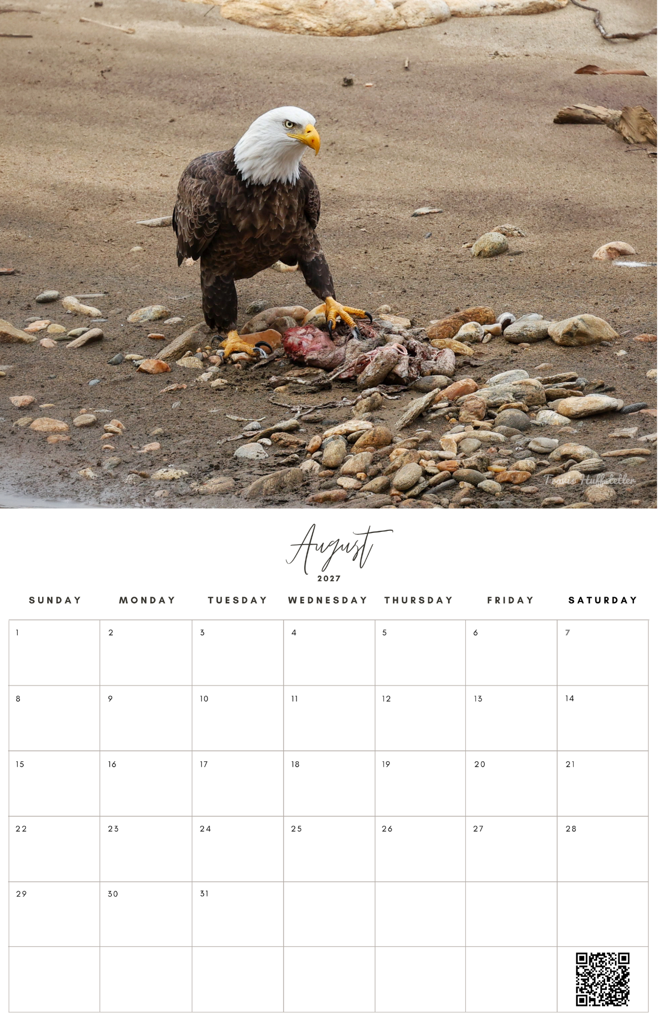 (PRE-SALE) 2027 Bald Eagles Wall Calendar by Travis Huffstetler