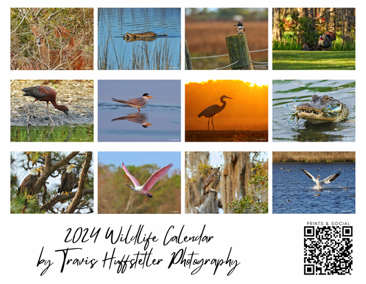 2024 Coastal Wildlife Calendar by Travis Huffstetler Photography